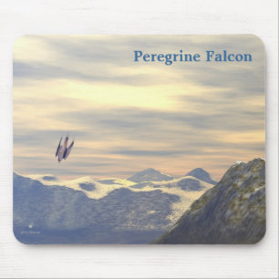 Terminalhastighet Peregrine Falcon Musmatta
