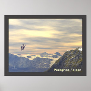 Terminalhastighet Peregrine Falcon Poster