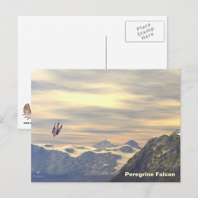 Terminalhastighet Peregrine Falcon Vykort (Fram/baksida)