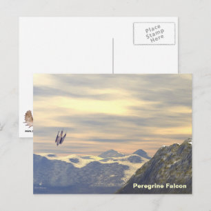 Terminalhastighet Peregrine Falcon Vykort