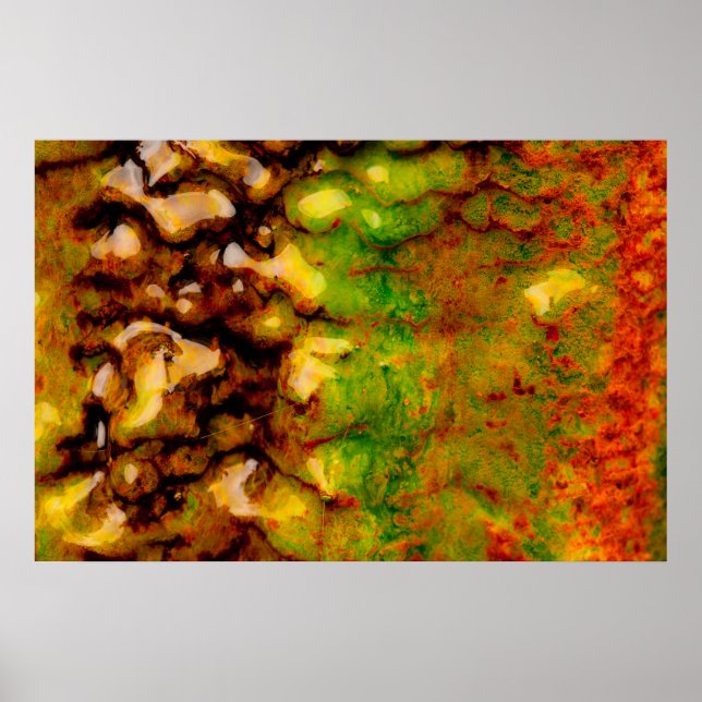 Termisk ekosystem poster (Framsidan)