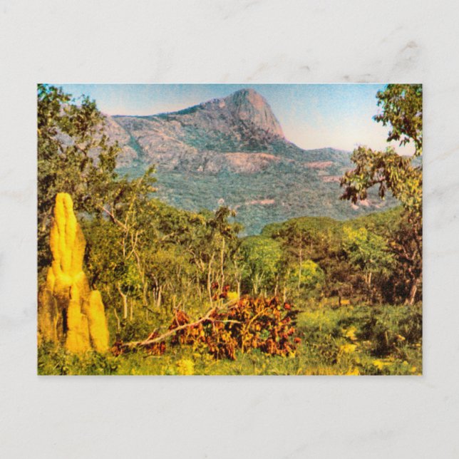 Termite mound, Sierra da Hanba, Angola Vykort (Framsida)