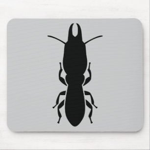 Termite Musmatta