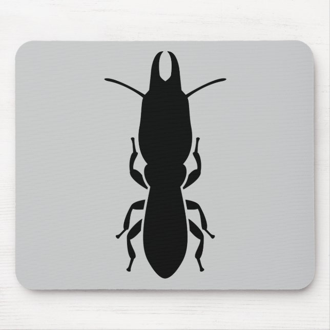 Termite Musmatta (Framsidan)