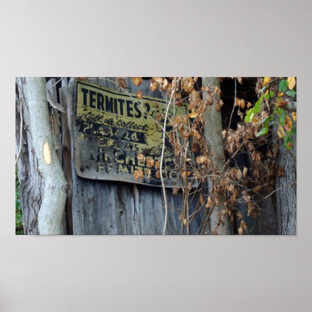 Termites? Poster (Framsidan)