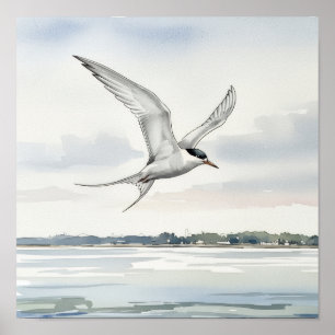 Tern som flyger över bukten poster
