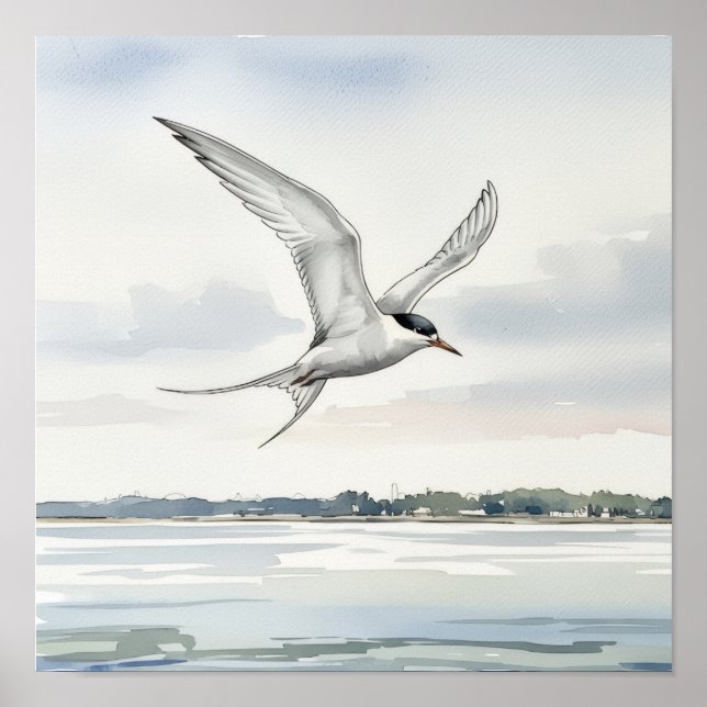Tern som flyger över bukten poster (Framsidan)