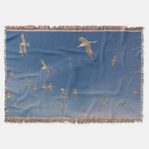Terns Overhead Filt