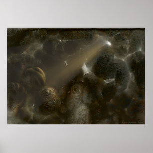 Teron   Konstig grotta Poster
