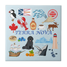 Terra Nova Newfoundland Kakelplatta