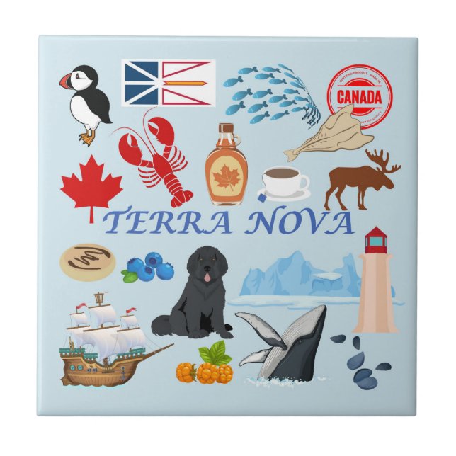 Terra Nova Newfoundland Kakelplatta (Framsidan)