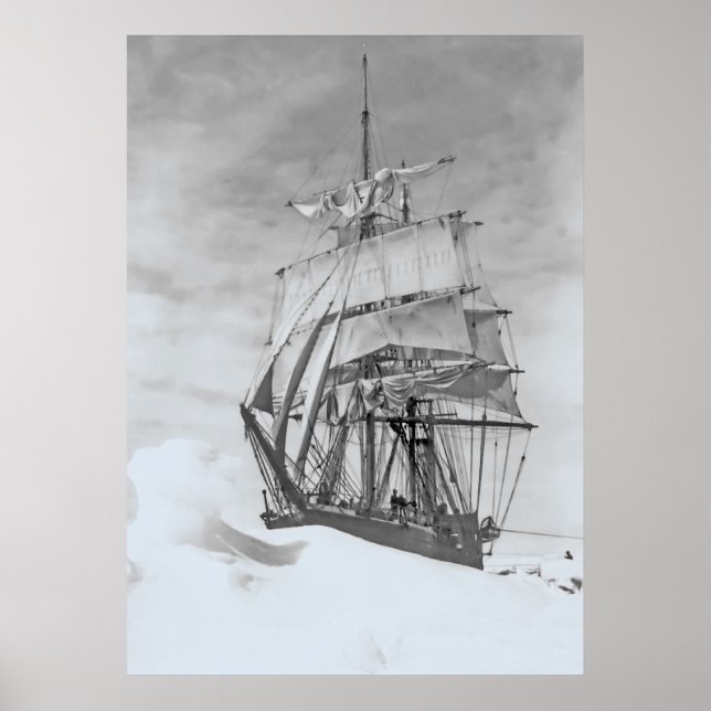 Terra Nova Poster (Framsidan)