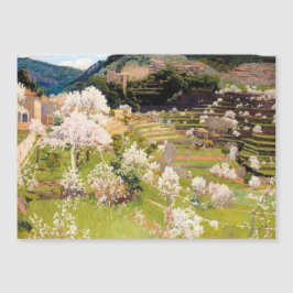 Terraced Garden i Mallorca