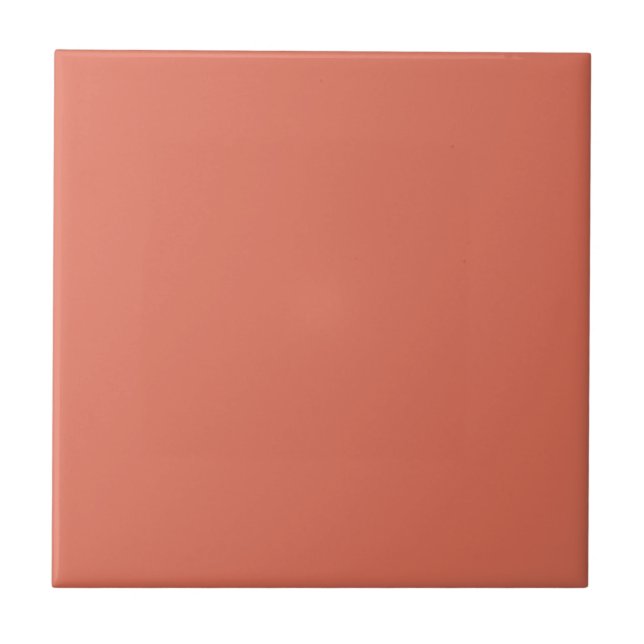 Terracotta Plain Solid Färg Ceramic Tile Kakelplatta (Framsidan)