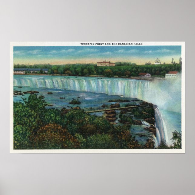 Terrapin Point View of Canadian Falls Poster (Framsidan)
