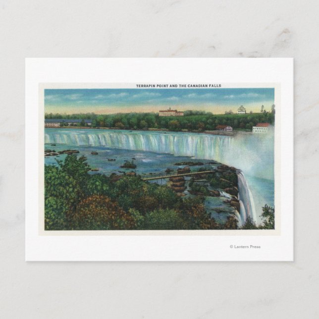 Terrapin Point View of Canadian Falls Vykort (Framsida)