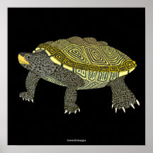 Terrapin (svart) - Affischtryck