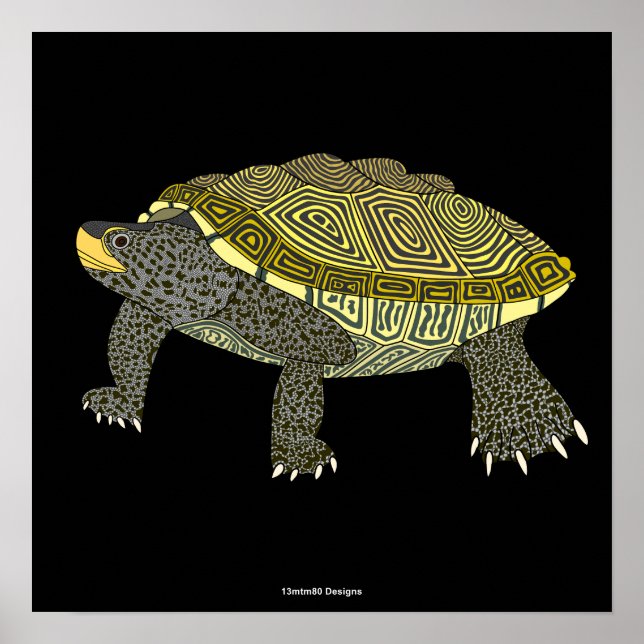 Terrapin (svart) - Affischtryck Poster (Framsidan)