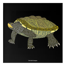 Terrapin (svart) - Akryltryck