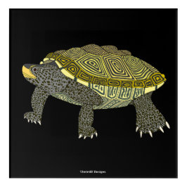 Terrapin (svart) - Akryltryck
