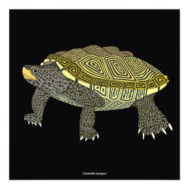 Terrapin (svart) - Fotoavtryck Fototryck (Framsidan)