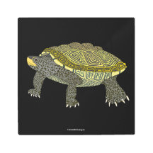 Terrapin (svart) - Metalltryck