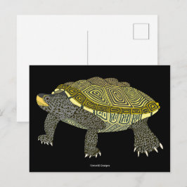 Terrapin (svart) - vykort