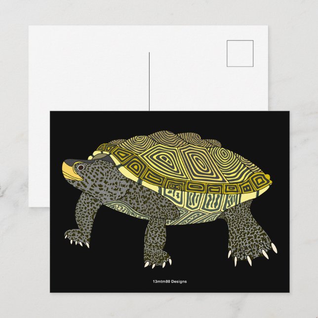 Terrapin (svart) - vykort (Fram/baksida)