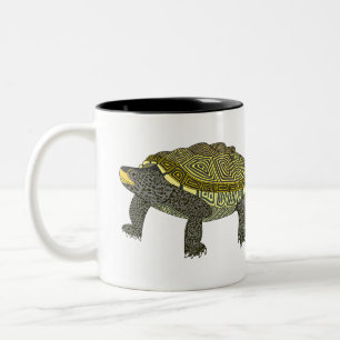 Terrapin - Tvåtons Mugg