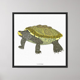 Terrapin (vit) - Canvastryck