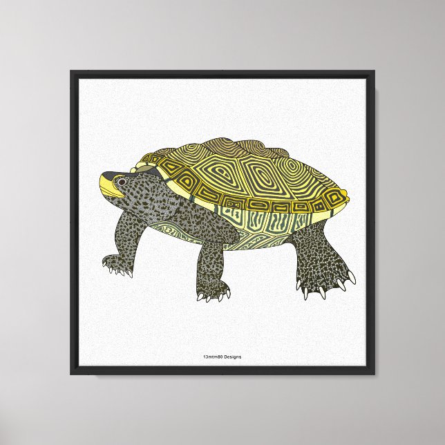 Terrapin (vit) - Canvastryck (Framsida)