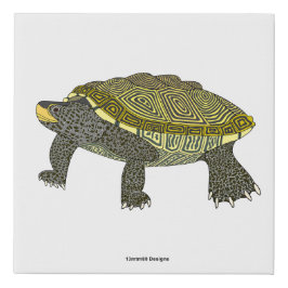 Terrapin (vit) - Falskt canvas