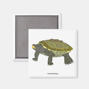 Terrapin (vit) - Fyrkantig magnet