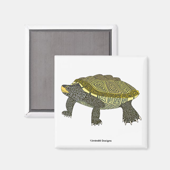 Terrapin (vit) - Fyrkantig magnet (Front/Back)