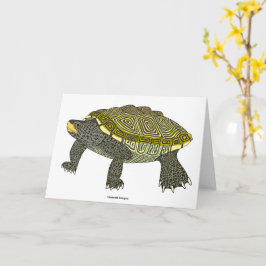 Terrapin (white) - Greeting Card Kort