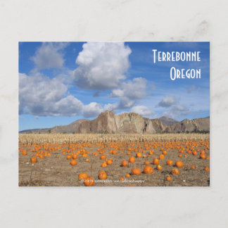 Terrebonne Pumpkins Vykort