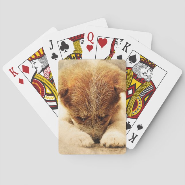 Terrier Casinokort (Baksidan)