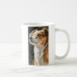Terrier chihuahua mixed breed dog closeup kaffemugg