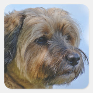 Terrier Design Fyrkantigt Klistermärke