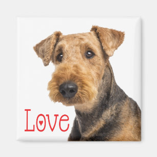 Terrier för Cute Puppy Hund Mamma Hund älskare Air Magnet