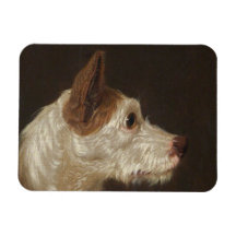 Terrier Hund Head (av James Ward)