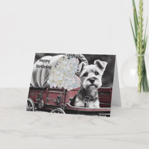 Terrier Hund i Vintage Vagn Födelsedagskort Kort