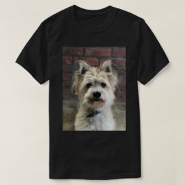 Terrier Hund Photo Personalize Cotton T Shirt