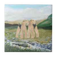 Terrier i Irland