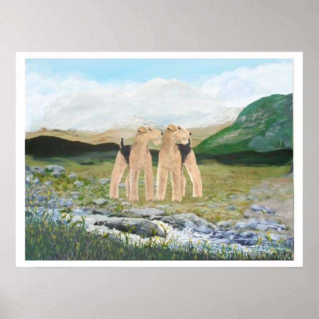 Terrier i Irland Poster (Framsidan)