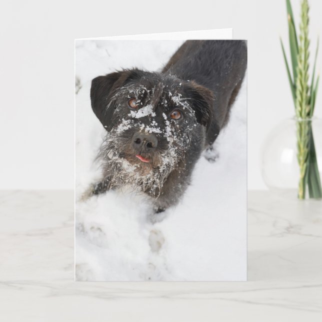 Terrier med snöig jul för en näsa helgkort (Framsida)