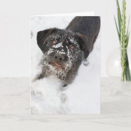 Terrier med snöig jul för en näsa helgkort