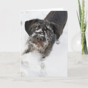Terrier med snöig jul för en näsa helgkort