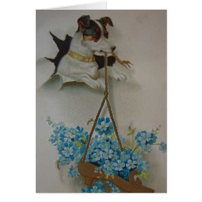 Terrier och Shoe Hälsningskort (Framsidan)