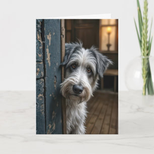 Terrier-peeking runt en dörr kort